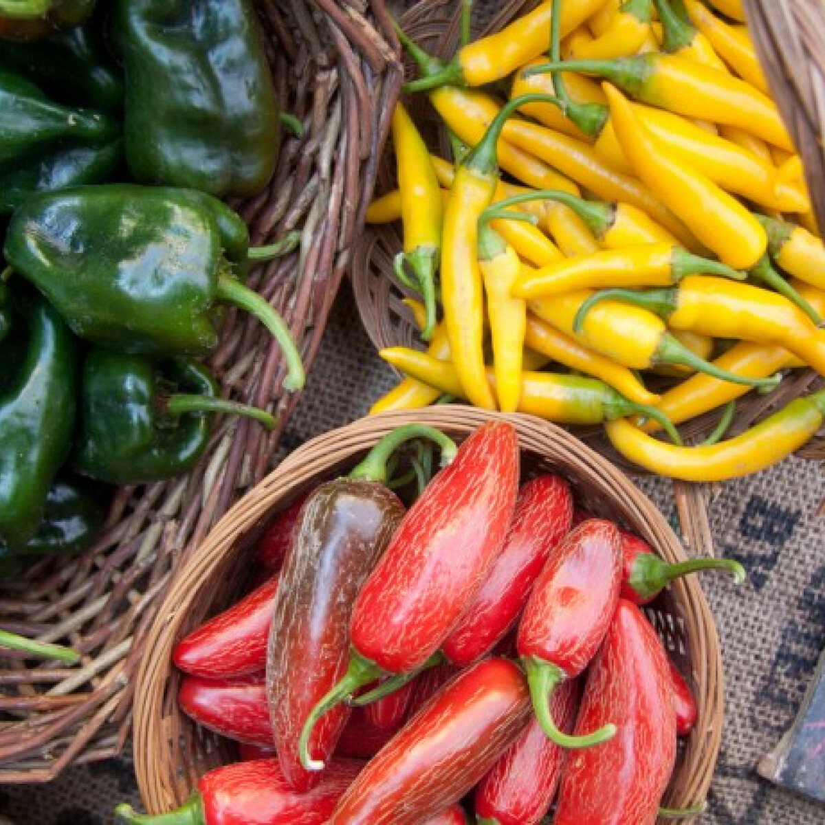 Miért csíp az erős paprika?