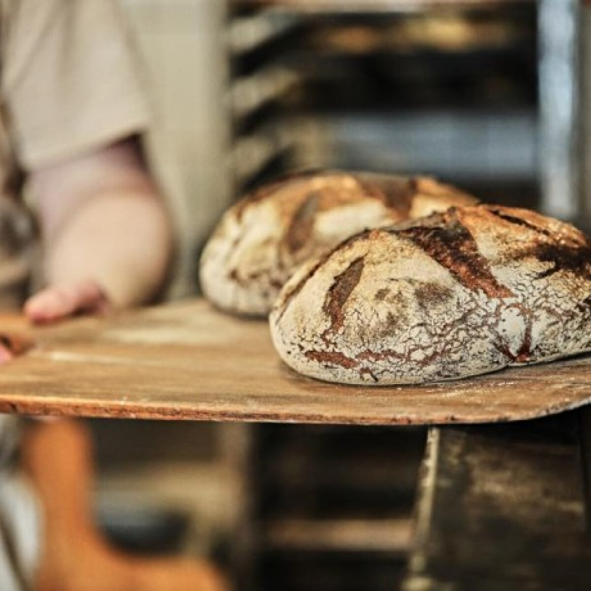 8 budapesti pékség, ahol valódi kovásszal készítik a kenyeret