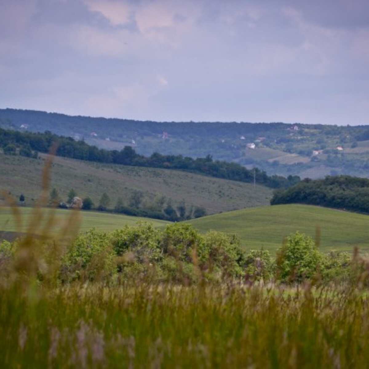Vendégségben a Balaton-felvidéken