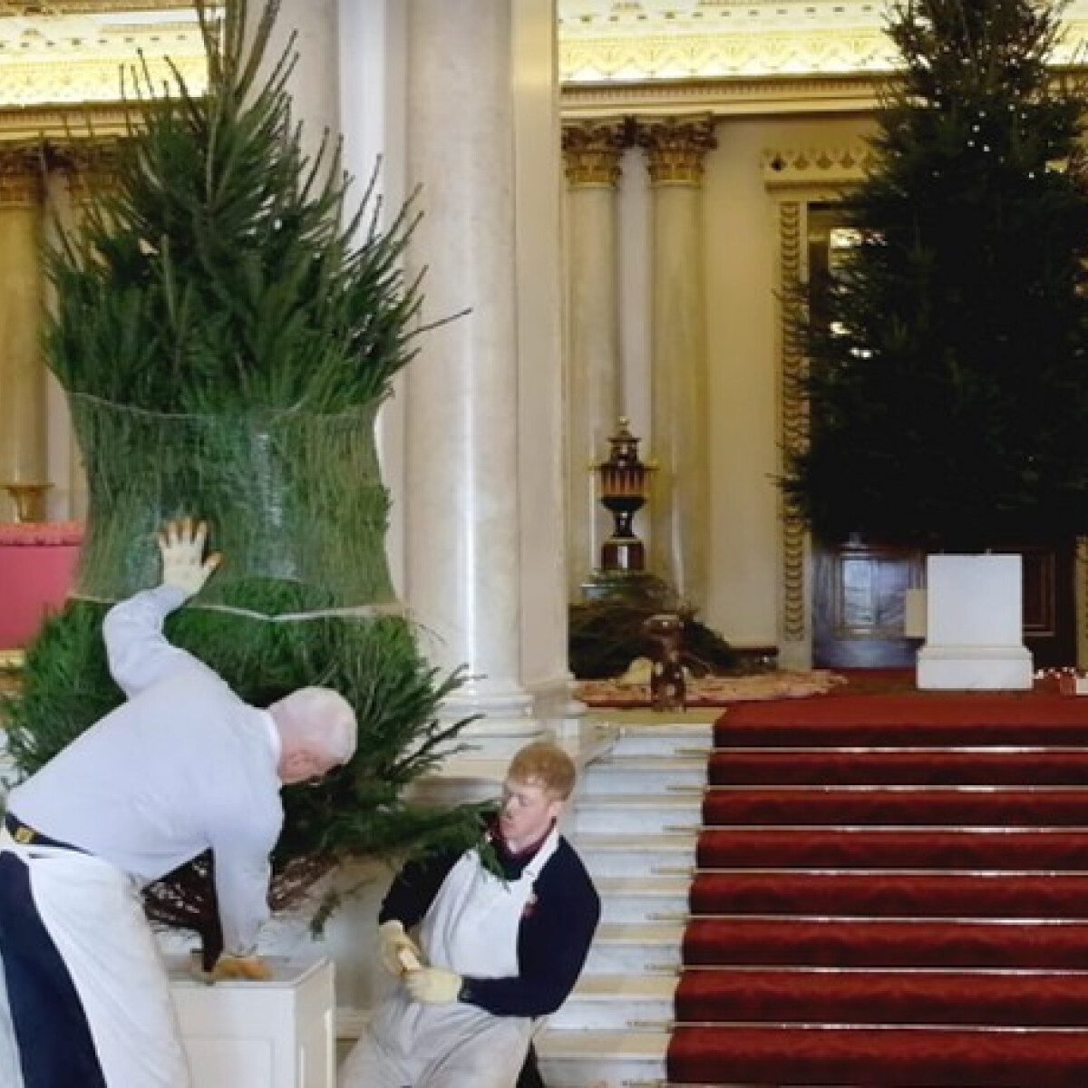 Megérkeztek a Buckingham Palotába a karácsonyfák - lessétek meg őket!
