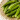 Okra