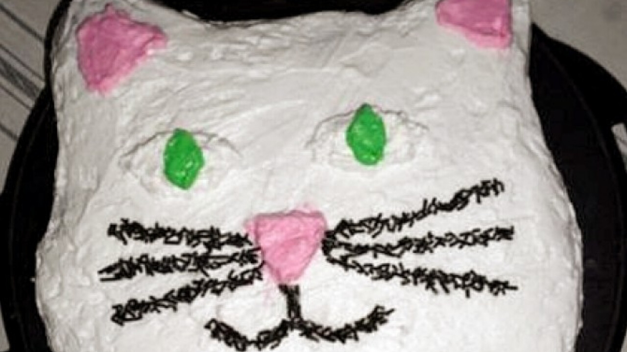Cica torta