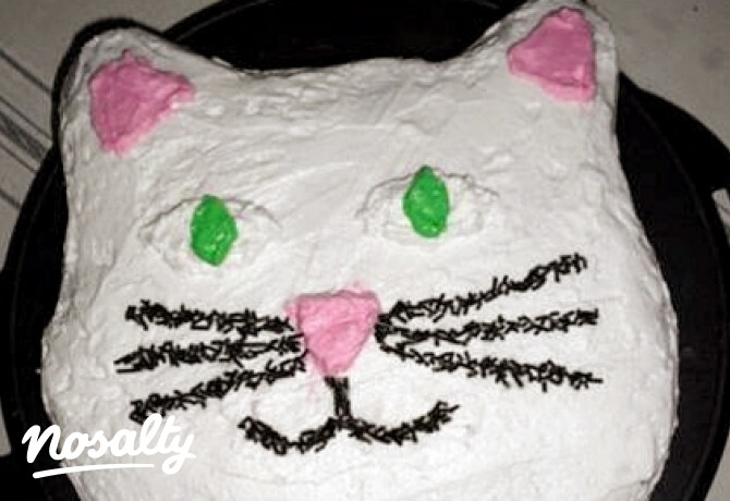 Cica torta