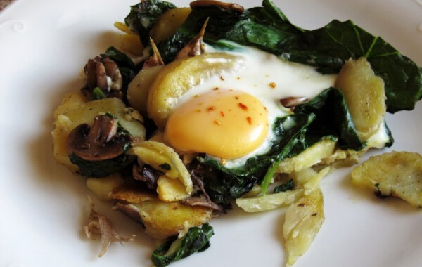 15 Inycsiklando Spenotos Fogas Nosalty