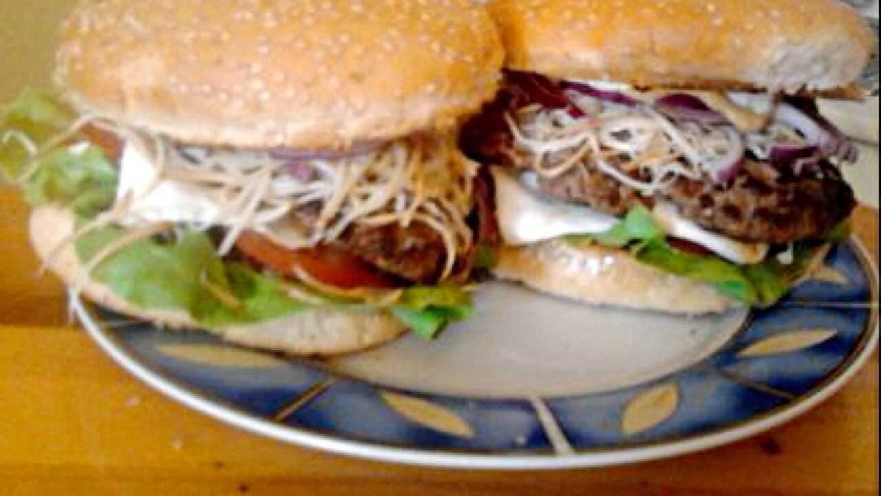 Hamburger háziasan