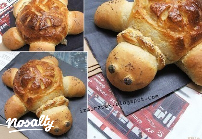 Tejes kenyérteknős