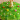 Angry Birds Seasons torta hatlaposból