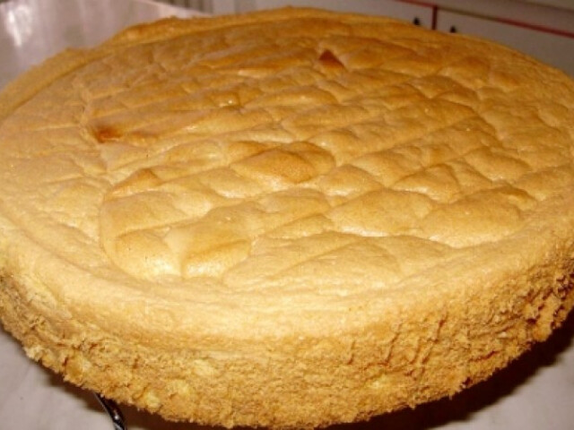 6 Tojasos Piskota Nosalty