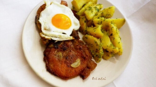 Serteskaraj Holstein Modra Nosalty