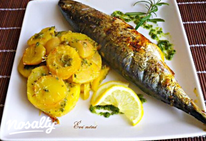 Grillezett makréla