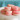 Francia macaron mandulakrémmel