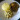 Grillezett afrikai harcsafilé gombával és fokhagymás édesburgonyával