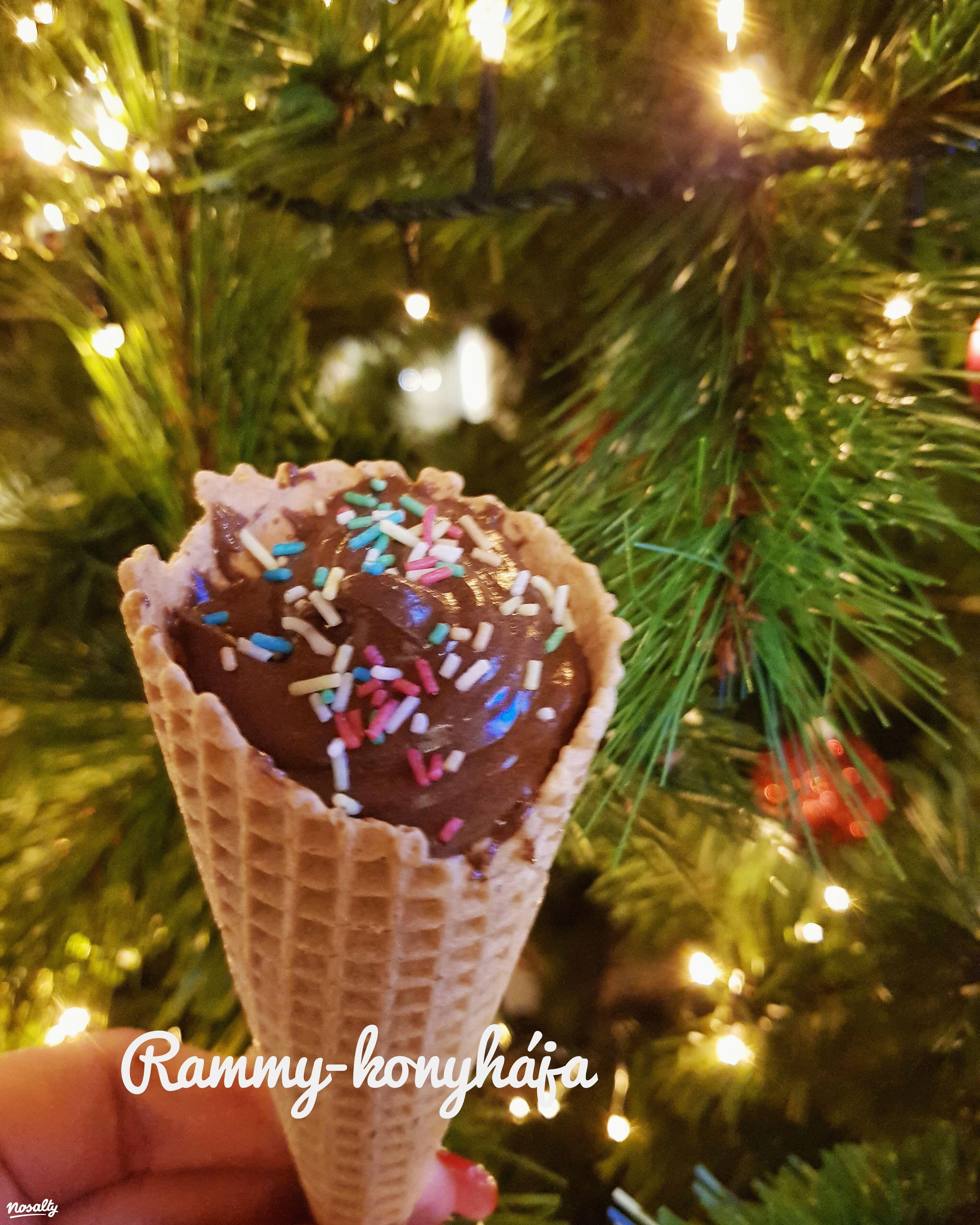 Ezen a képen: Télifagyi