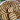 Nutellás-mascarponés kekszsüti