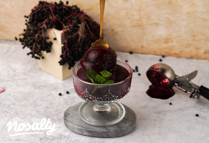 Bodzabogyósorbet