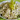 Olívás-gombás karfiolsaláta