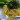 Spenótos tagliatelle