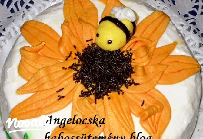 Napraforgó torta csokis-citromos krémmel