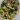 Brokkolis-spenótos-halas tészta
