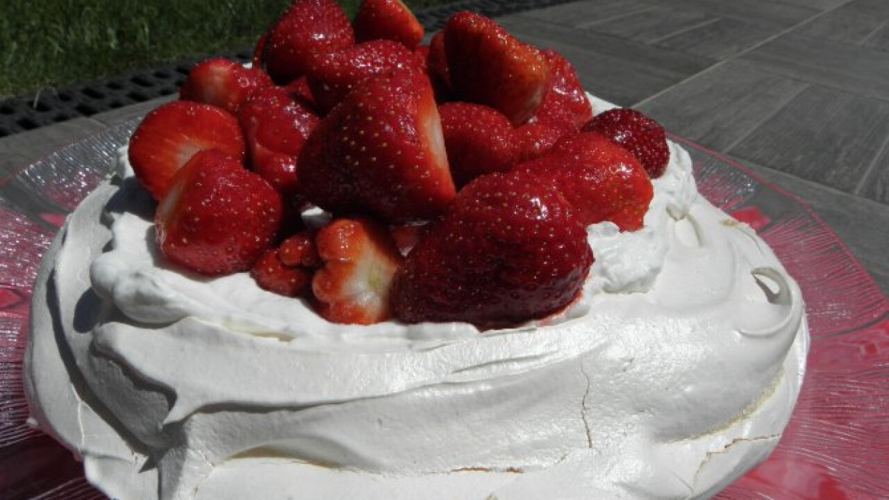 Epres pavlova Wendy-től