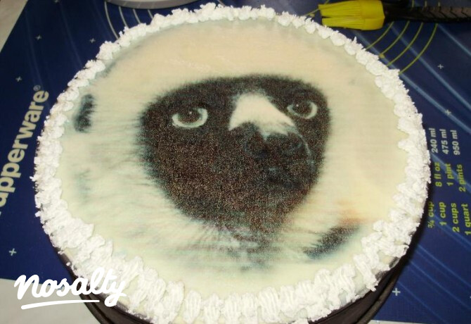 Zoboomafoo gyümölcsjoghurtos-tejszínes torta