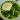 Zöld leves buggyantott tojással