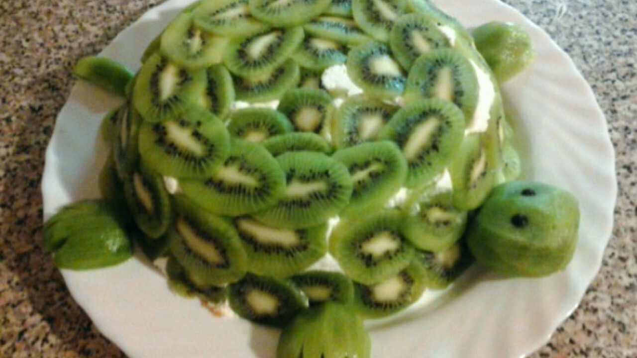 Teknős torta túróval