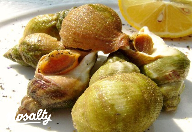 Szuronycsiga, avagy bátraké a szerencse!